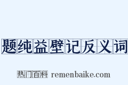 题纯益壁记反义词是什么意思的图片